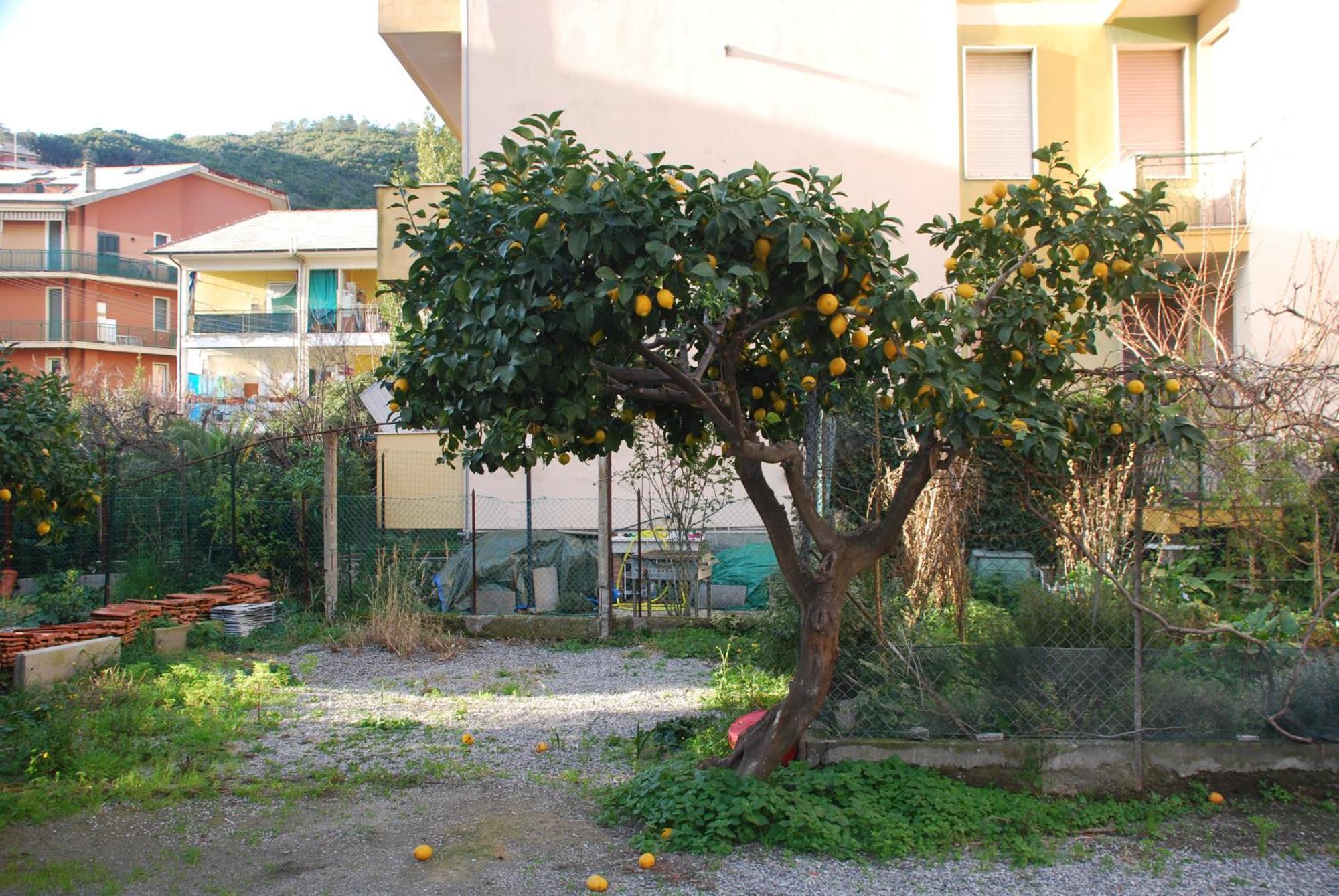Apartment Tinetto Brezza Di Mare Deiva Marina